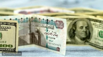 تقلبات جديدة.. سعر الدولار أمام الجنيه في 6 بنوك مصرية خلال تعاملات الثلاثاء